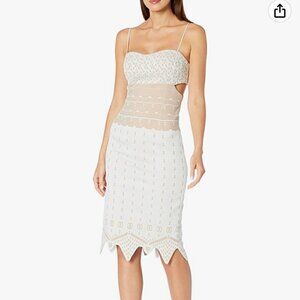 NWT Jonathan Simkhai Bonded Lace Bustier Cutout Bodycon Midi Dress In Ice US 6  